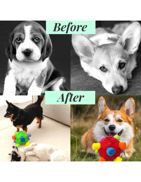 Pelota Snuffle CIIVURR Juguete Interactivo para Perros