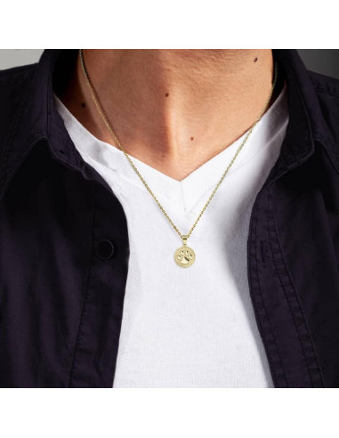 Medalla Colgante Huella de Perro Gato Oro Amarillo 14K Claddagh