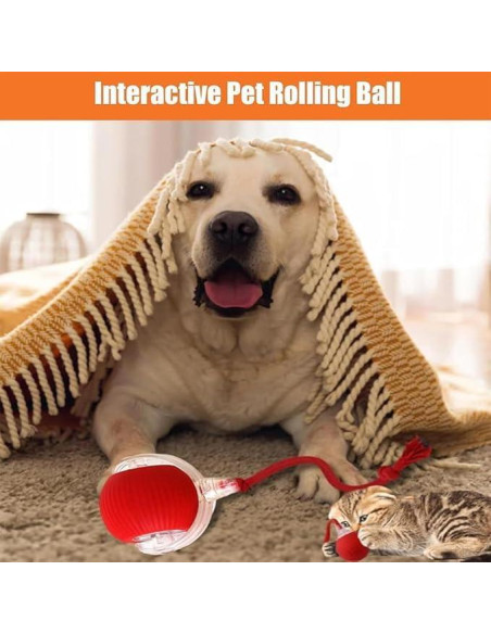 Pelota Eléctrica Interactiva para Perros y Gatos - AUTRETY