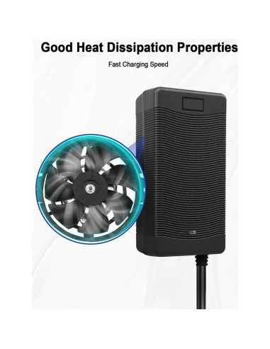 Cargador de Scooter Vaticas 63V 2A Compatible Ninebot