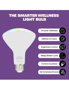 Bombillas LED Inteligentes NorbSMART BR30 9W 2-Pack 2