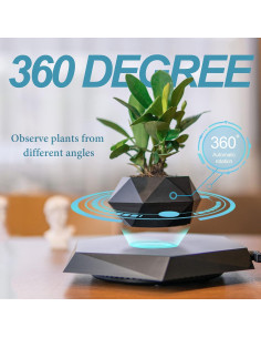 Maceta Flotante Magnética HCNT para Plantas Suculentas Negra 2