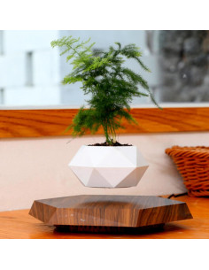 Maceta Flotante Genérico 20 cm Levitación Magnética 2