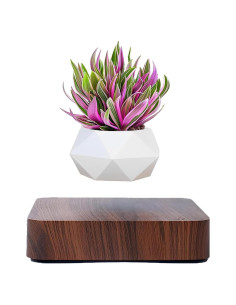 Maceta Bonsai Flotante Babook Cuadrada 9cm Color Oscuro