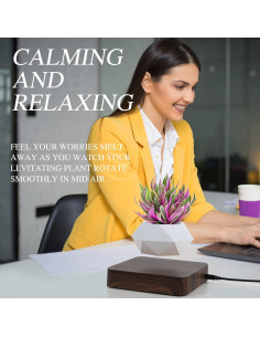 Maceta Bonsai Flotante Babook Cuadrada 9cm Color Oscuro 2