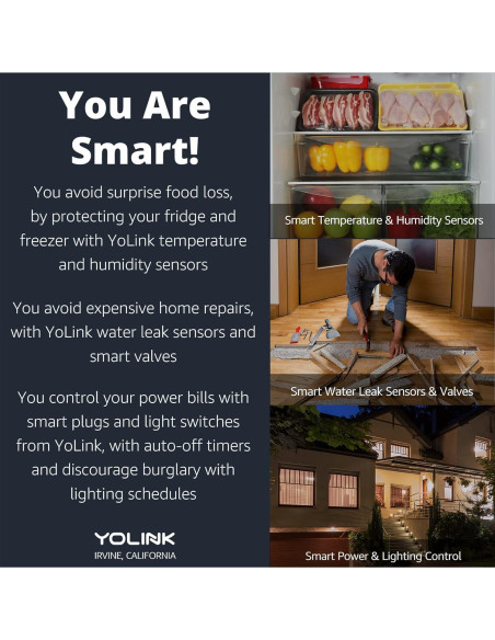 Kit de Inicio Hogar Inteligente YoLink 2 Enchufes y Hub