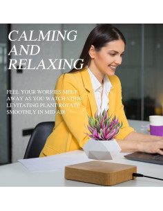 Maceta Bonsai Flotante Babook Cuadrada 9cm Color Claro 2