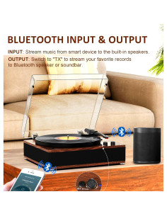 Reproductor de Vinilo Vintage DANFI AUDIO TE-3008 Bluetooth 2