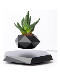 Maceta Flotante BandD Hexagonal Negra para Plantas Pequeñas