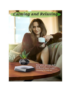 Maceta Flotante BandD Hexagonal Negra para Plantas Pequeñas 2