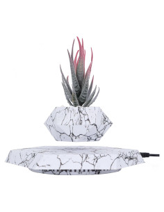 Maceta Flotante YISUIPU Hexagonal para Plantas Pequeñas