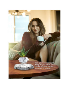 Maceta levitante BandD para suculentas y plantas aéreas 2