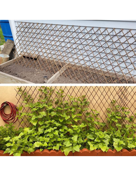 Trellis Expandible JOYSFIT para Plantas 55,88x304,8 cm 4PC