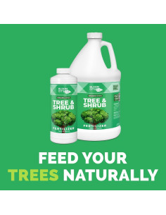 Fertilizante para Árboles y Arbustos Bloom City 3.63 kg 2