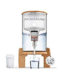 Dispensador de Agua Alcalina Invigorated pH Recharge 12.5L