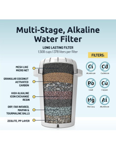 Dispensador de Agua Alcalina Invigorated pH Recharge 12.5L 2