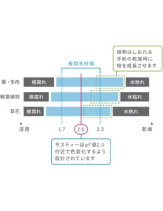 Medidor de Humedad del Suelo SUSTEE Aquameter Verde Grande 2