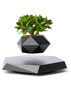 Maceta Flotante MOOCCI Hexagonal para Suculentas 19.5cm