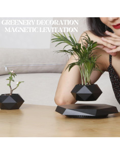 Maceta Flotante MOOCCI Hexagonal para Suculentas 19.5cm 2