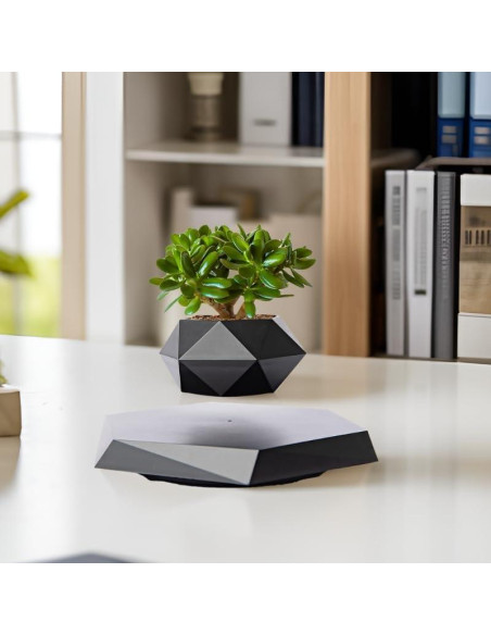 Maceta Flotante MOOCCI Hexagonal para Suculentas 19.5cm