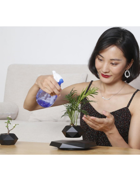 Maceta Flotante MOOCCI Hexagonal para Suculentas 19.5cm