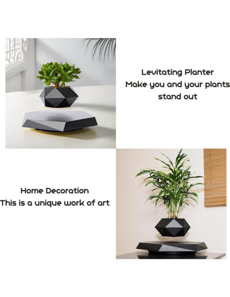 Maceta Flotante MOOCCI Hexagonal para Suculentas 19.5cm