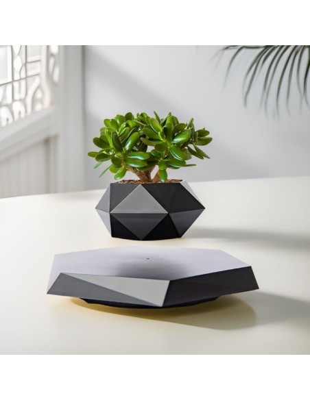 Maceta Flotante MOOCCI Hexagonal para Suculentas 19.5cm