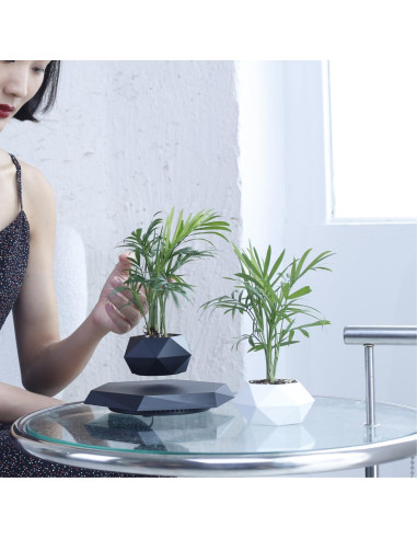 Maceta Flotante MOOCCI Hexagonal para Suculentas 19.5cm