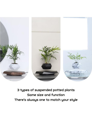 Maceta Flotante MOOCCI Hexagonal para Suculentas 19.5cm