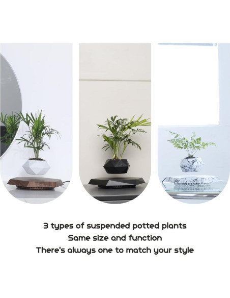 Maceta Flotante MOOCCI Hexagonal para Suculentas 19.5cm