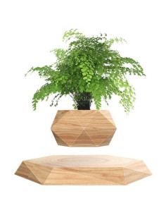 Maceta Flotante Hexagonal KIYOMING para Bonsai 19x19 cm