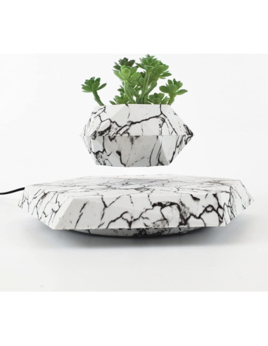 Maceta Flotante KIYOMING para Bonsai 9 cm Moderno