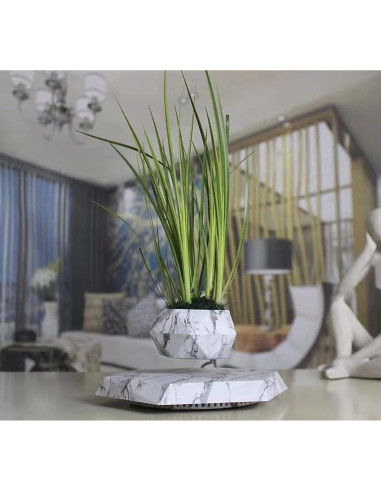 Maceta Flotante KIYOMING para Bonsai 9 cm Moderno