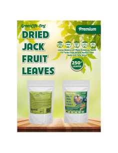 Hojas de Jackfruit Premium GREENLIFE 250 Unidades para Acuario