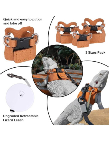 Correa y Arnés Ajustable HOKABLE para Dragón Barbudo - 3 Tamaños