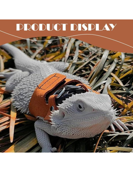 Correa y Arnés Ajustable HOKABLE para Dragón Barbudo - 3 Tamaños