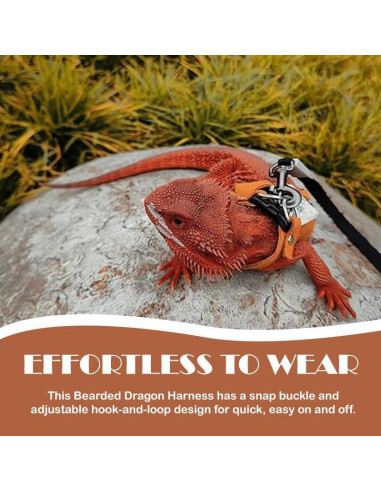 Correa y Arnés Ajustable HOKABLE para Dragón Barbudo - 3 Tamaños