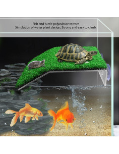 Rampa para Tortugas Grande Genérica - Hábitat de Plástico 2