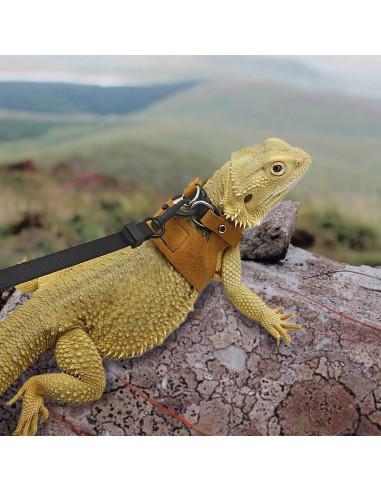 Correa y Arnés Ajustable HOKABLE para Dragón Barbudo - 3 Tamaños