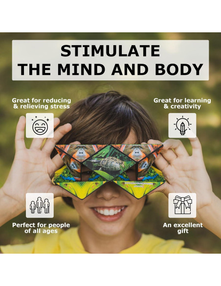 Cubo Antiestrés Shashibo Fun in Motion - 36 Imanes - Bosque Cubo Antiestrés Shashibo Fun in Motion - 36 Imanes - Bosque