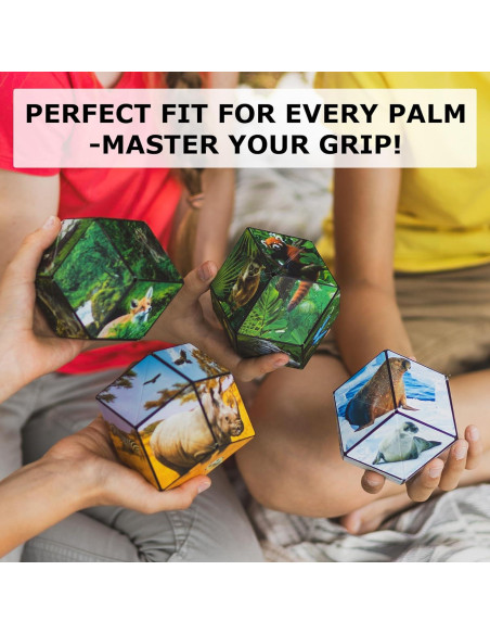 Cubo Antiestrés Shashibo Fun in Motion - 36 Imanes - Bosque Cubo Antiestrés Shashibo Fun in Motion - 36 Imanes - Bosque