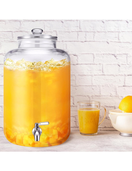 Dispensador de Agua de Vidrio Newtay 20L con Grifo de Acero