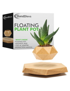 Maceta Flotante BandDlevs Hexagonal para Plantas Pequeñas
