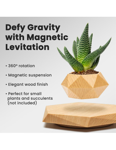 Maceta Flotante BandDlevs Hexagonal para Plantas Pequeñas