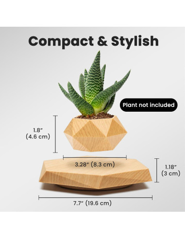 Maceta Flotante BandDlevs Hexagonal para Plantas Pequeñas