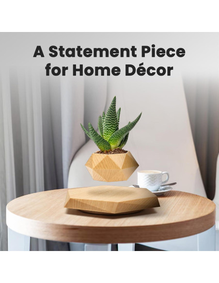 Maceta Flotante BandDlevs Hexagonal para Plantas Pequeñas