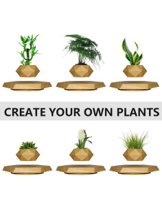 Maceta Flotante HCNT Hexagonal de Madera para Plantas 2