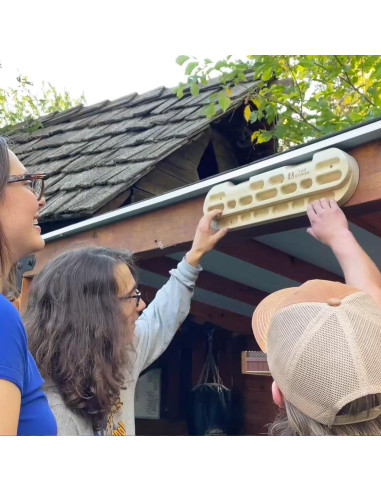 Hangboard TWO STONES para Escalada y Entrenamiento de Fuerza