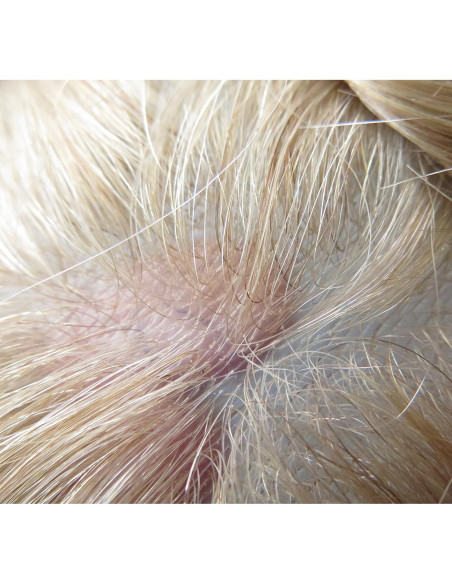 Toupee para hombres Hair Nature 20x25cm cabello humano rubio