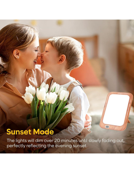 Lámpara de Terapia de Luz Easy@Home ELT-492-WG 10000 Lux